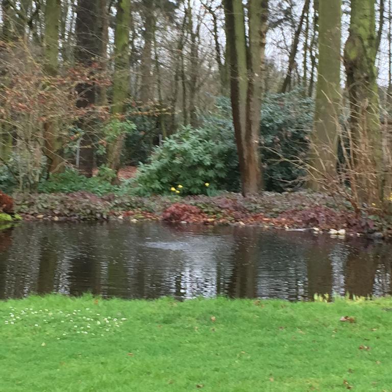 Villa Am Huelser Berg Naehe Duesseldorf เครเฟลด์ ภายนอก รูปภาพ